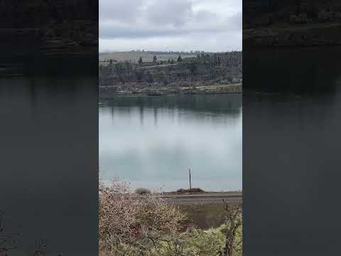 Columbia Gorge Never Disappoints! #columbia #river #water #oregon #scenic