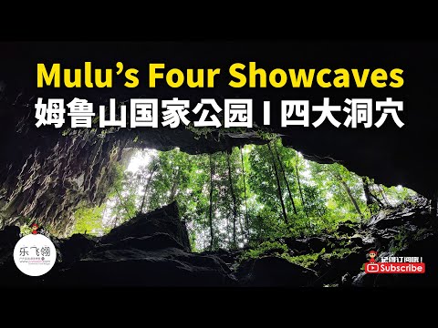 Mulu' Four Showcaves (Deer Cave, Lang Caves, Wind Cave and Clearwater Cave) 姆鲁国家公园四大洞穴＋蝙蝠出洞