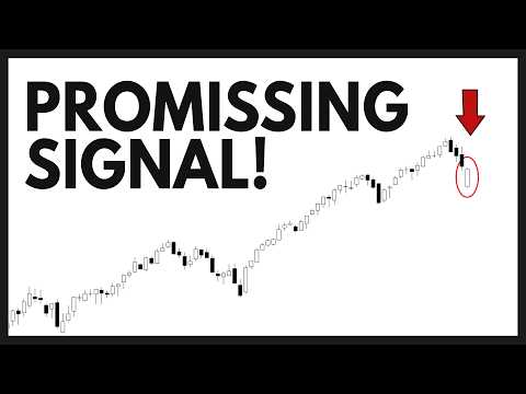 Technical Analysis of Stocks: NVDA / TSLA / SPY / QQQ / PLTR / AMD