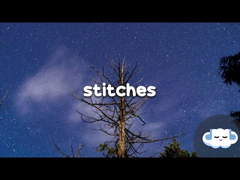 Shawn Mendes - Stitches (Lyrics)