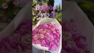 Доброе утро 🌸 Хорошего Дня! Красивая музыкальная открытка! #сдобрымутромоткрыткимузыкальные #шортс