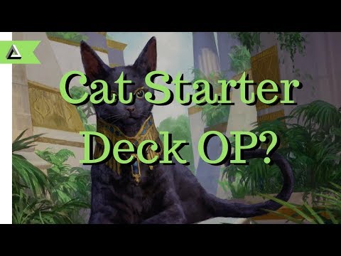 MTG:A Cat Deck OP (Stress Test)