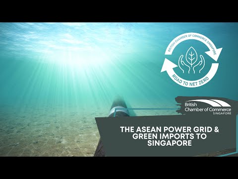 The ASEAN Power Grid & Green Imports to Singapore