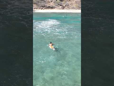 Paddling in #surfing #diamondhead #ocean #beaches #swimming #hawaiibeach