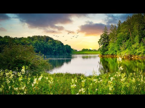 自然声音  轻音乐  钢琴音乐  平静静心  解压放松  Ambient  Music  piano music  relaxing music