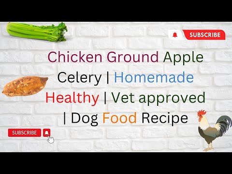 Chicken ground apple Celery Homemade Healthy Vet approved Recipe DIY Dog Food  blogsbyib