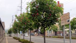 余市駅（歌唱：原田ヒロシ）