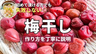 【初心者でも失敗しない】自家製梅干しの作り方！おすすめの塩分値の漬け方を紹介！南高梅や紀州梅で漬けても