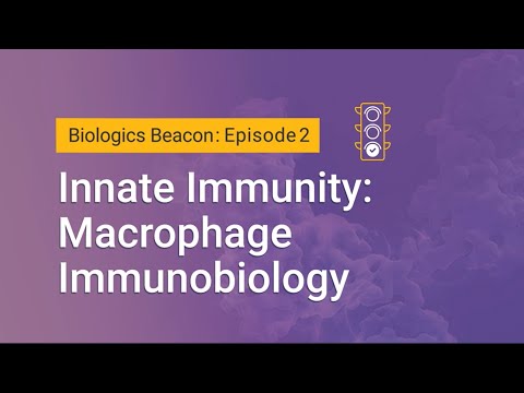 Innate Immunity: Macrophage Immunobiology