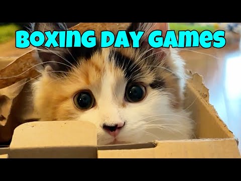 Kitten Versus Box - A Boxing Day Special