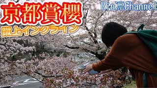 京都賞櫻2018 蹴上傾斜鐵道 台湾人の京都花見案内：蹴上インクライン