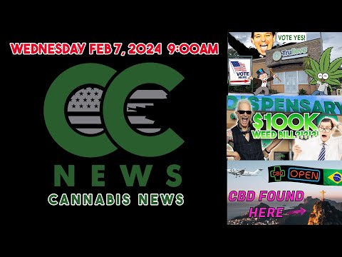 Cannabis News Update – Florida Cannabis, $100k weed bill, and CBD found Here