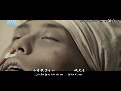 《山楂树之恋》-山楂花 -陈楚生--《 电影宣传曲 》OST [ Tình yêu dưới cây Sơn Trà ]  -  Hoa Sơn Trà  -  Trần Sở Sinh