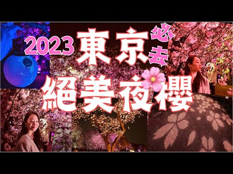 🌸『賞櫻必去』東京最浪漫櫻花🌸｜夜間櫻花燈光秀✨