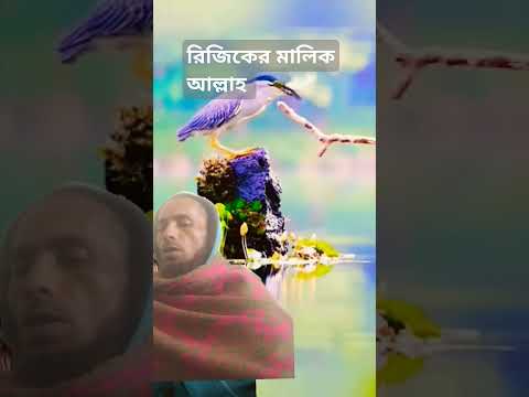 রিজিকের মালিক আল্লাহ #motivation #video #duet