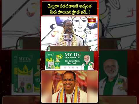 మెల్లగా నడవడంలో అత్యంత పేరు పొందిన ప్రాణి ఇదే..! #chagantikoteswararao #pravachanam #shorts