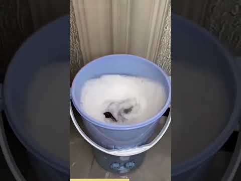 Household appliances-mini washing machine家用電器-迷你洗衣機 #goodthing #好物分享