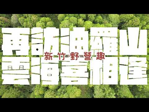 新竹縣丨五峰鄉丨羅山林道北線丨森林野營地丨再訪油羅山丨雲海喜相逢丨空拍丨Mavic Air2