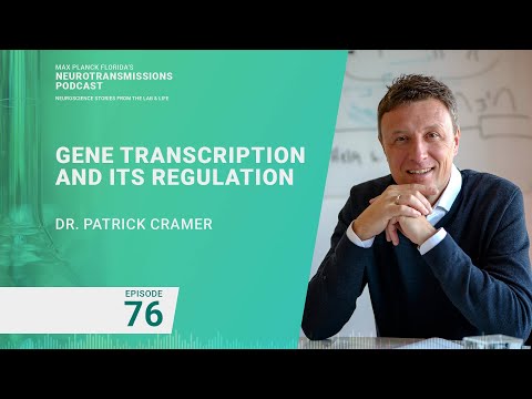 Podcast Ep. 76 -  Gene Transcription and Its Regulation with Patrick Cramer