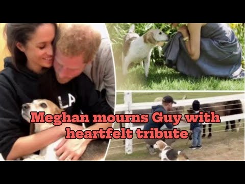 Royal fans gush over hearing Meghan and Harry's children in tribute to beloved family dog