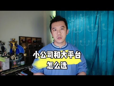 小公司和大平台怎么选