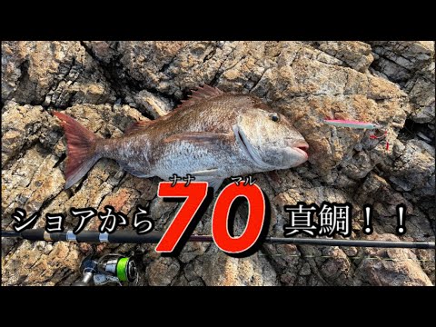 【ロックショア】ショアから70真鯛が釣れた！！