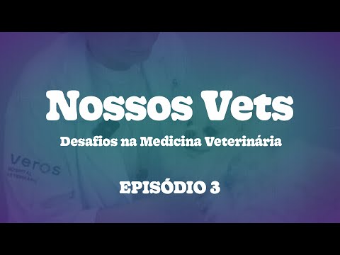 Nossos Vets - Desafios na Medicina Veterinária  |  Episódio 3