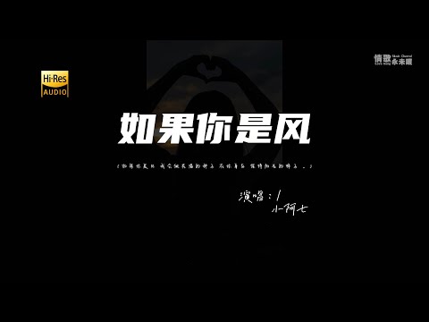 小阿七 - 如果你是风♫『如果你是风 我会做花海的种子 在你身后 保持阳光的样子。』『动态歌词 | 高音质 | pinyin Lyrics』