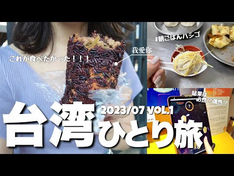 【台湾ひとり旅】1日目 | 飯糰食べたくて今年2度目の台北へ