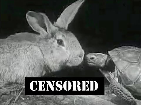 Censored Encyclopedia Britannica Films! (Animal Edition)