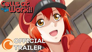 Cells at Work!! | OFFICIAL TRAILER