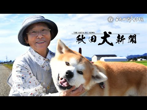 【秋田犬新聞】地域、家族の愛情一身に　大仙市の大石さんと孝太郎