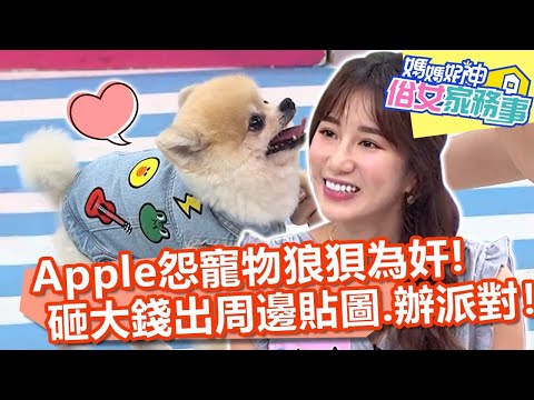 貓狗一家親！Apple怨寵物狼狽為奸愛搗亂！砸大錢出周邊、貼圖還辦派對？！【#媽媽好神之俗女家務事】20220705 part1 爆紅萌寵 EP504 Apple 小優