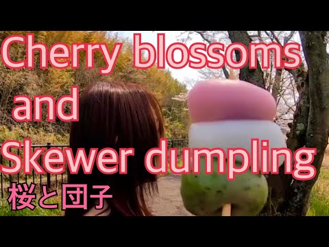 【アウトドア】桜の美しい国で団子を食べる Now, cherry blossoms are in full bloom Japan.