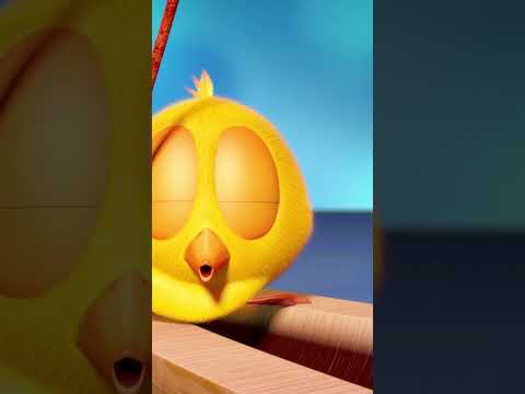 Dust #chicky | Chicky Cartoon in English for Kids