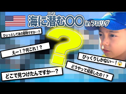 【フロリダ】なんでここに！？シーワールドで海に潜むあの生物を発見！？＜とっくんトラベラーズ＞