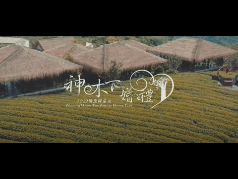 2022阿里山神木下婚禮(中文版)-榮獲2023德國柏林旅展(ITB)金城門獎(The Golden City Gate)國際文化藝術類(Art&Culture International)金獎