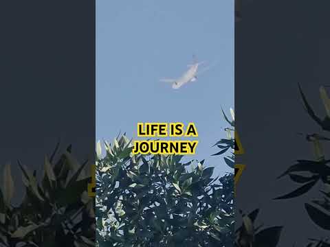 LIFE II Life is a JOURNEY #life #lifevalues #lifelessons #values #youtube #youtubviralshorts #ksa #p