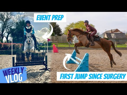 Snip's First Jump Since Surgery!! Weekly Vlog