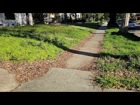 Neighbors Team Up On MOWING This Lawn When It OVERGROWS After City SIEZED The Property