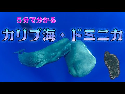 ５分でわかるーカリブ海のドミニカ国　海は最高＆陸も最高♫