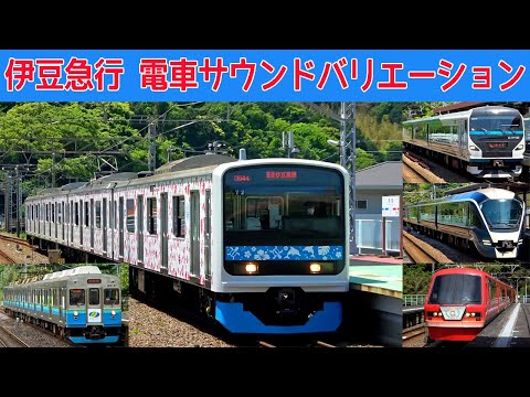 【アロハ電車3000系デビュー！】伊豆急を走る個性的な車両たち