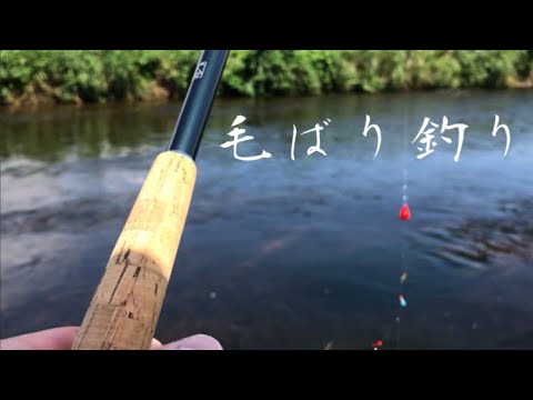 はじめての毛ばり釣り！