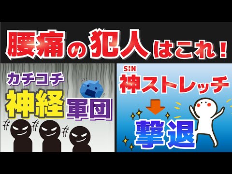 【腰痛の救世主】硬くなった神経を撃退！神ストレッチで腰痛改善！カチコチ神経軍団をやっつけよう！