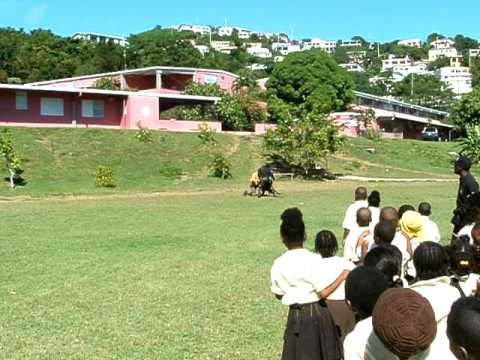 K9 Demonstrations at Joseph Gomez Elementary School