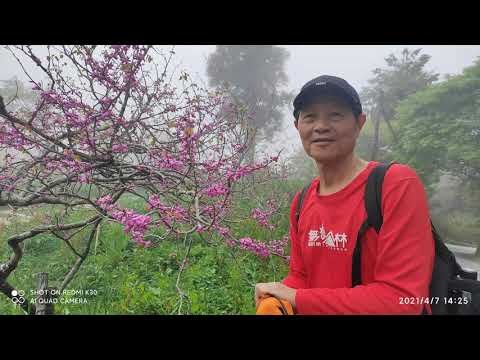 20210407阿里山對高岳山