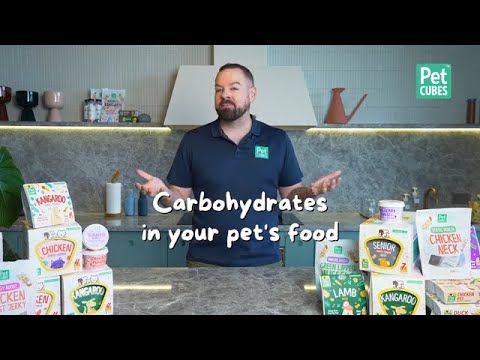 Carbohydrates In Your Dog's Food | Does my dog need carbs?