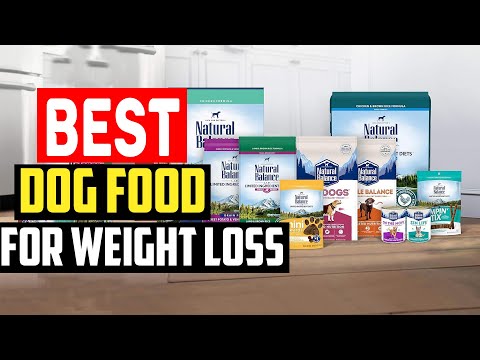 ✅Top 5 The Best Dog Food For Weight Loss 2024