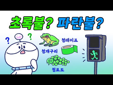 왜 초록불을 파란불이라고 할까? | 위즈키즈