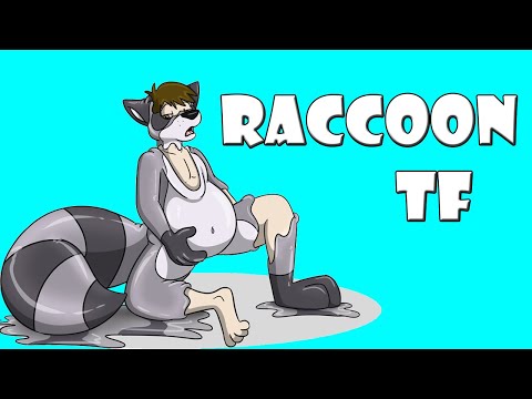 Raccoon Transformation / Raccoon TFTG (Part 2)